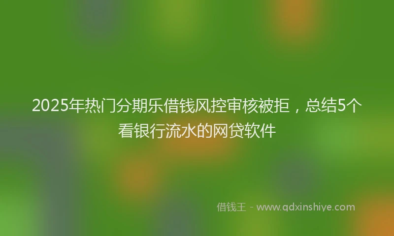 2025年热门分期乐借钱风控审核被拒，总结5个看银行流水的网贷软件