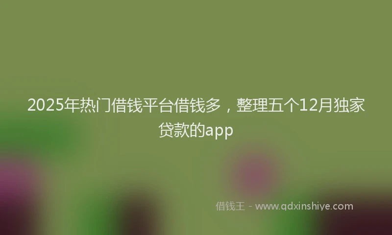2025年热门借钱平台借钱多，整理五个12月独家贷款的app