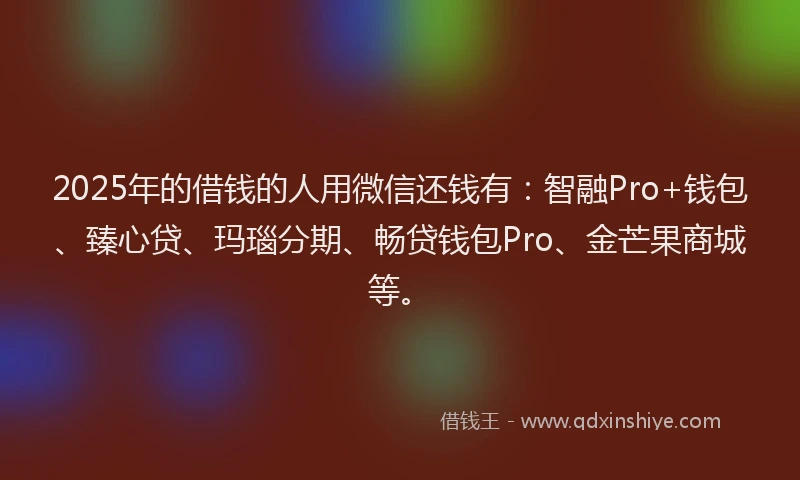 2025年的借钱的人用微信还钱有：智融Pro+钱包、臻心贷、玛瑙分期、畅贷钱包Pro、金芒果商城等。