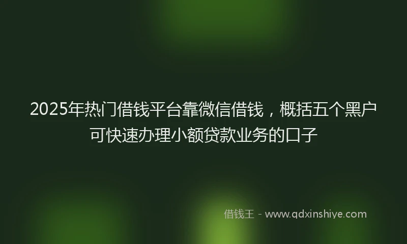 2025年热门借钱平台靠微信借钱，概括五个黑户可快速办理小额贷款业务的口子