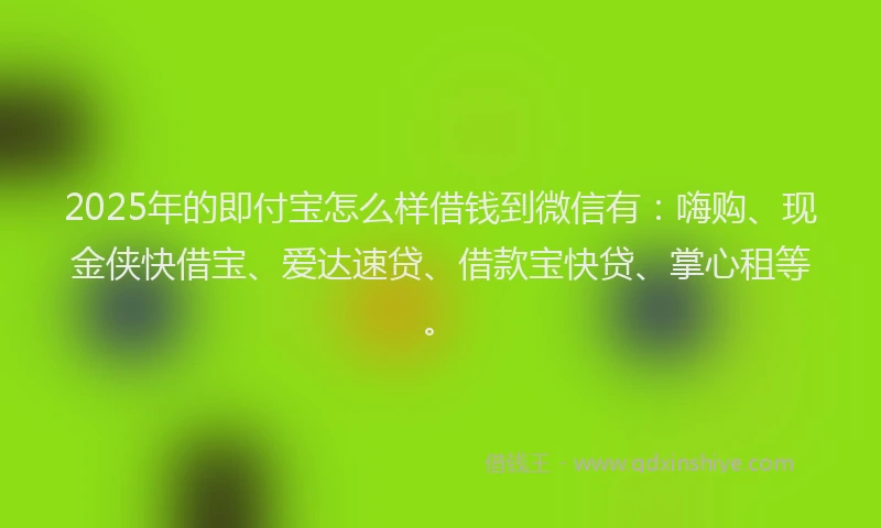 2025年的即付宝怎么样借钱到微信有：嗨购、现金侠快借宝、爱达速贷、借款宝快贷、掌心租等。
