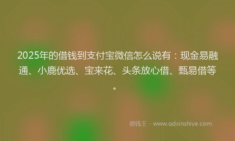 2025年的借钱到支付宝微信怎么说有：现金易融通、小鹿优选、宝来花、头条放心借、甄易借等。