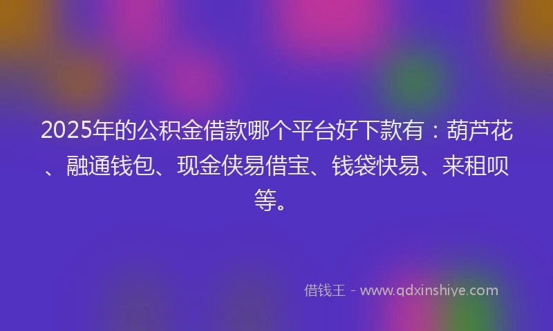 2025年的公积金借款哪个平台好下款有：葫芦花、融通钱包、现金侠易借宝、钱袋快易、来租呗等。