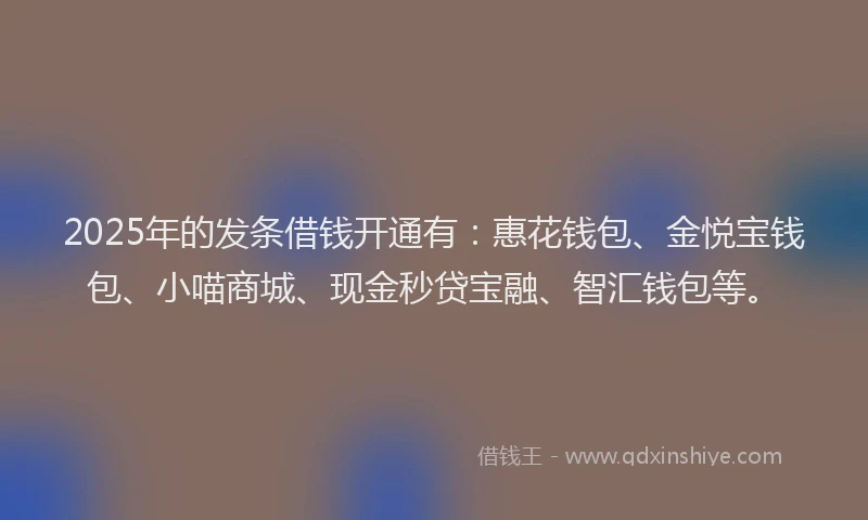 2025年的发条借钱开通有：惠花钱包、金悦宝钱包、小喵商城、现金秒贷宝融、智汇钱包等。