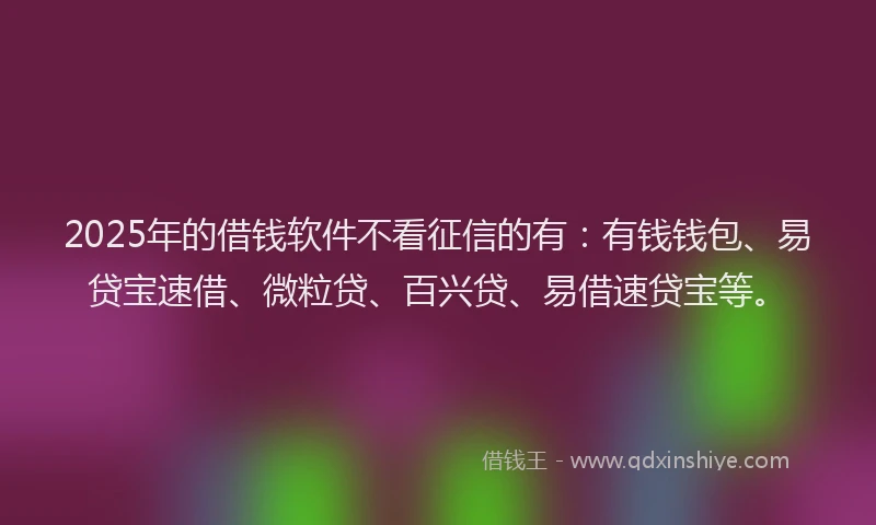 2025年的借钱软件不看征信的有：有钱钱包、易贷宝速借、微粒贷、百兴贷、易借速贷宝等。