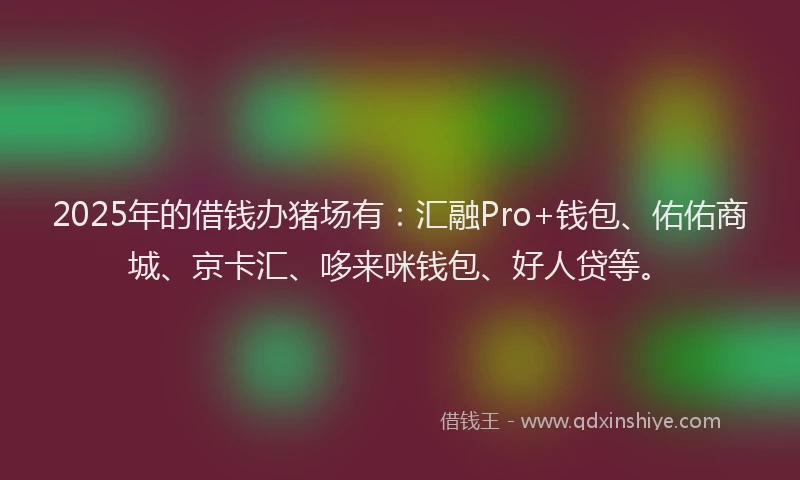 2025年的借钱办猪场有：汇融Pro+钱包、佑佑商城、京卡汇、哆来咪钱包、好人贷等。