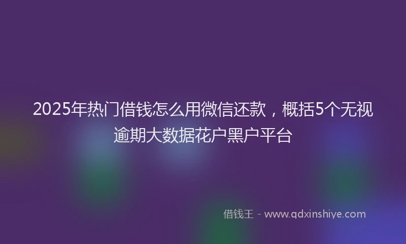 2025年热门借钱怎么用微信还款，概括5个无视逾期大数据花户黑户平台