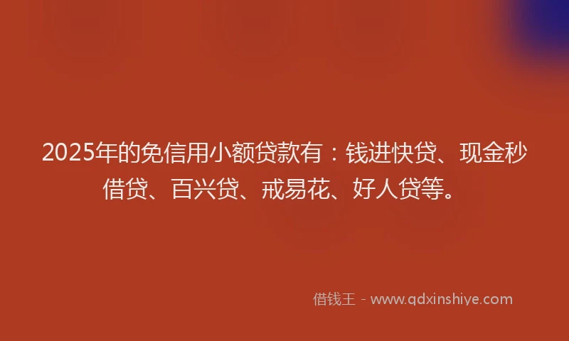 2025年的免信用小额贷款有：钱进快贷、现金秒借贷、百兴贷、戒易花、好人贷等。