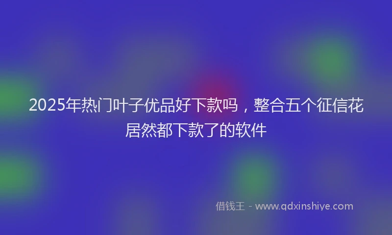 2025年热门叶子优品好下款吗，整合五个征信花居然都下款了的软件