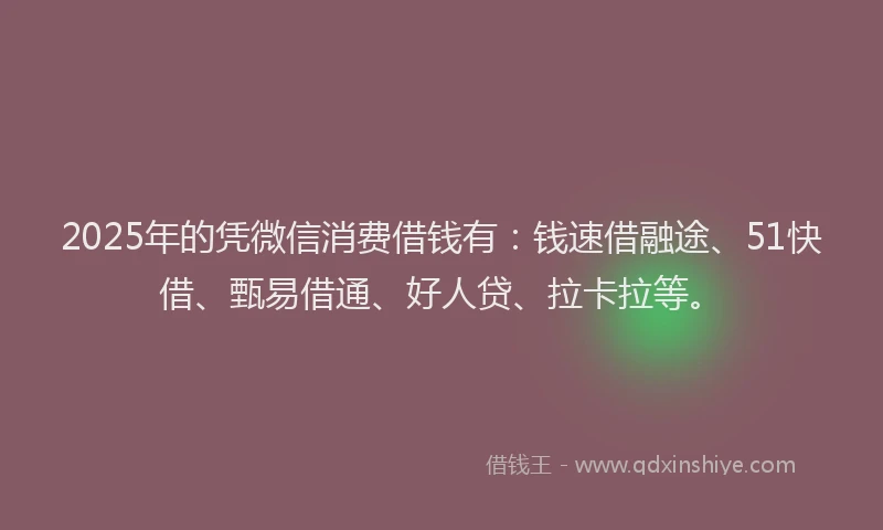 2025年的凭微信消费借钱有：钱速借融途、51快借、甄易借通、好人贷、拉卡拉等。