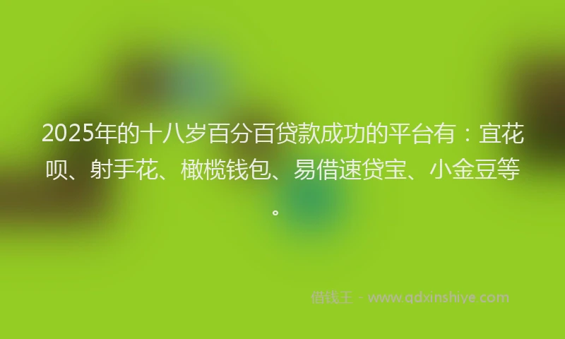 2025年的十八岁百分百贷款成功的平台有：宜花呗、射手花、橄榄钱包、易借速贷宝、小金豆等。