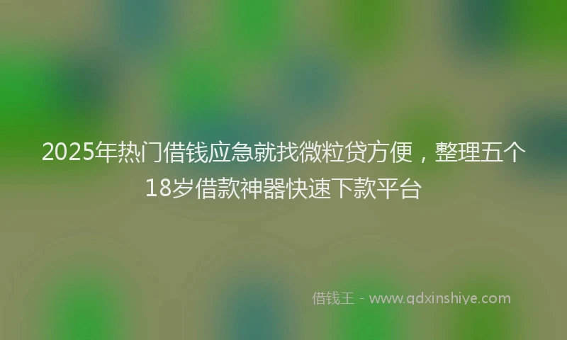 2025年热门借钱应急就找微粒贷方便，整理五个18岁借款神器快速下款平台
