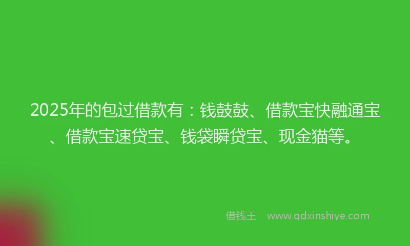 2025年的包过借款有：钱鼓鼓、借款宝快融通宝、借款宝速贷宝、钱袋瞬贷宝、现金猫等。