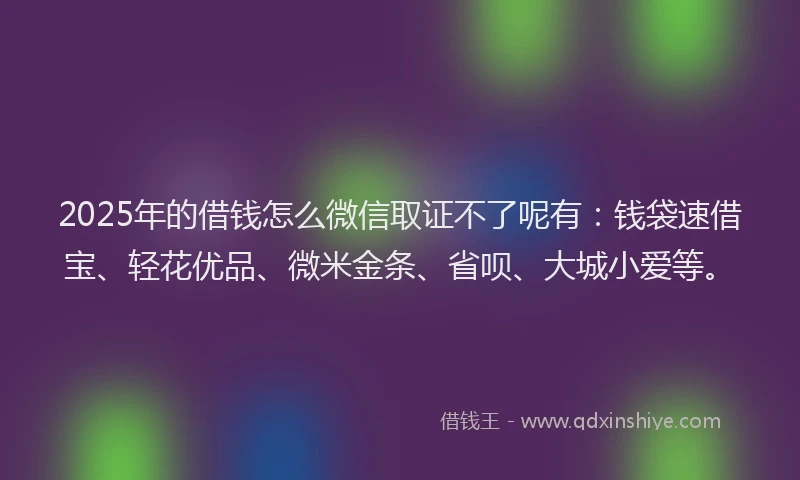 2025年的借钱怎么微信取证不了呢有：钱袋速借宝、轻花优品、微米金条、省呗、大城小爱等。