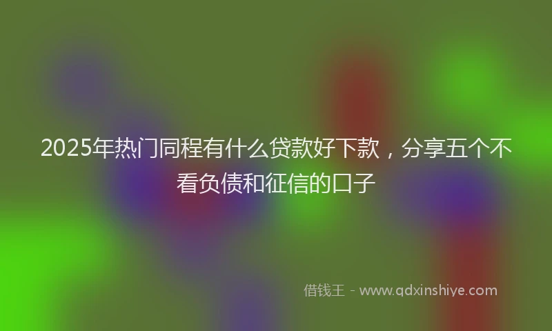 2025年热门同程有什么贷款好下款，分享五个不看负债和征信的口子