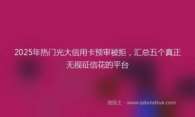 2025年热门光大信用卡预审被拒，汇总五个真正无视征信花的平台