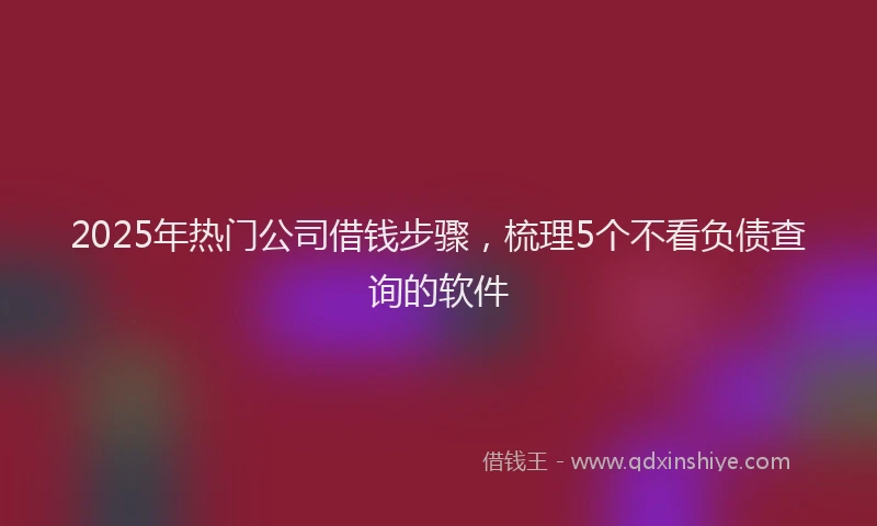 2025年热门公司借钱步骤，梳理5个不看负债查询的软件