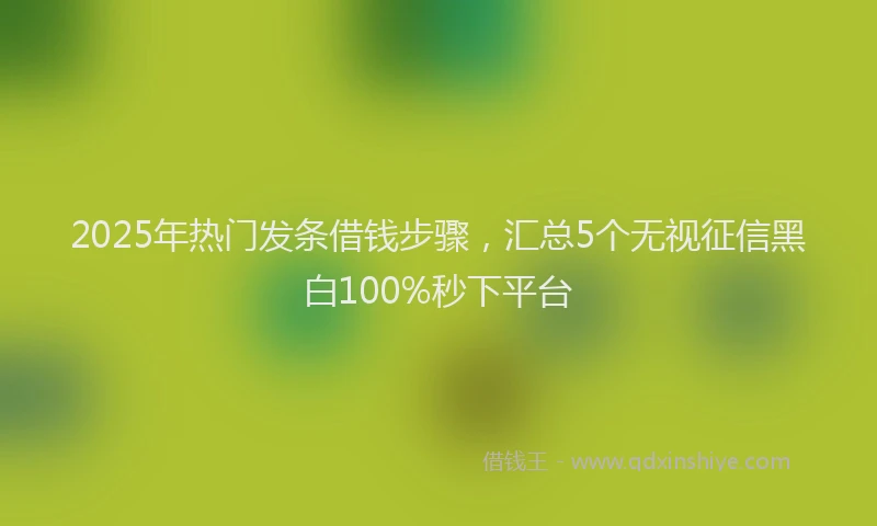 2025年热门发条借钱步骤，汇总5个无视征信黑白100%秒下平台