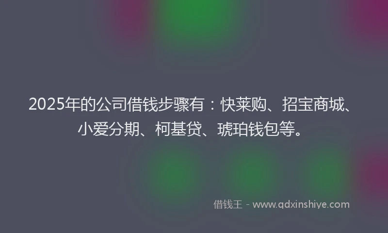 2025年的公司借钱步骤有：快莱购、招宝商城、小爱分期、柯基贷、琥珀钱包等。