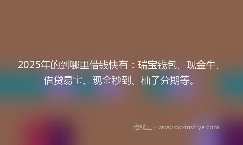 2025年的到哪里借钱快有：瑞宝钱包、现金牛、借贷易宝、现金秒到、柚子分期等。