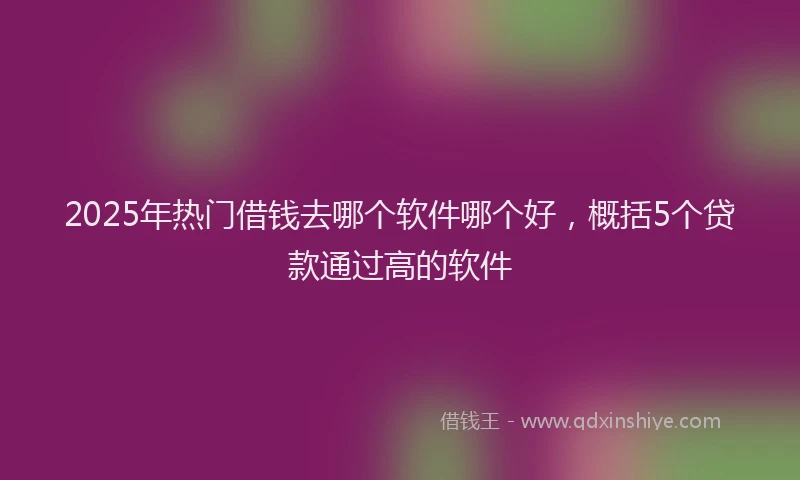 2025年热门借钱去哪个软件哪个好，概括5个贷款通过高的软件