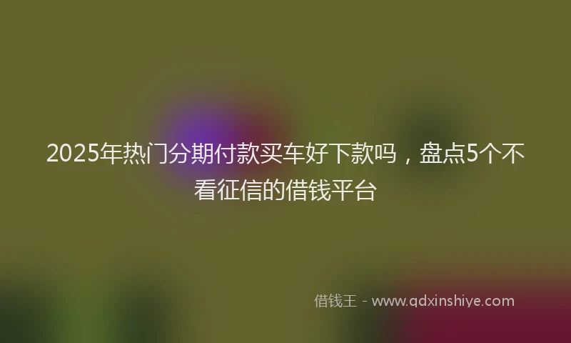 2025年热门分期付款买车好下款吗，盘点5个不看征信的借钱平台