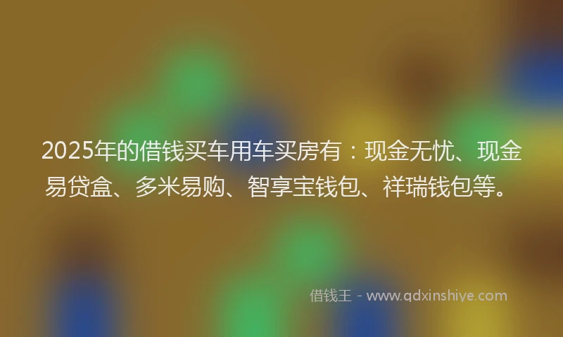 2025年的借钱买车用车买房有：现金无忧、现金易贷盒、多米易购、智享宝钱包、祥瑞钱包等。