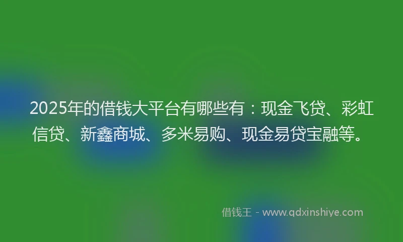 2025年的借钱大平台有哪些有：现金飞贷、彩虹信贷、新鑫商城、多米易购、现金易贷宝融等。