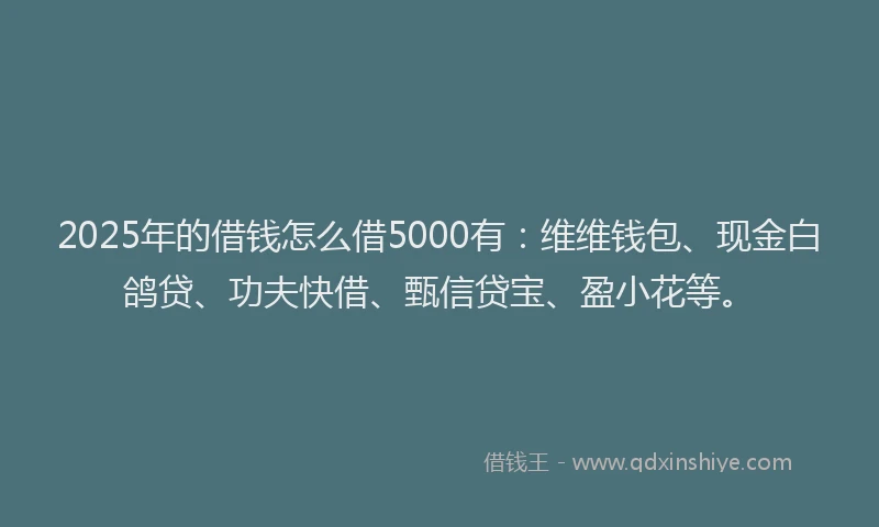 2025年的借钱怎么借5000有：维维钱包、现金白鸽贷、功夫快借、甄信贷宝、盈小花等。