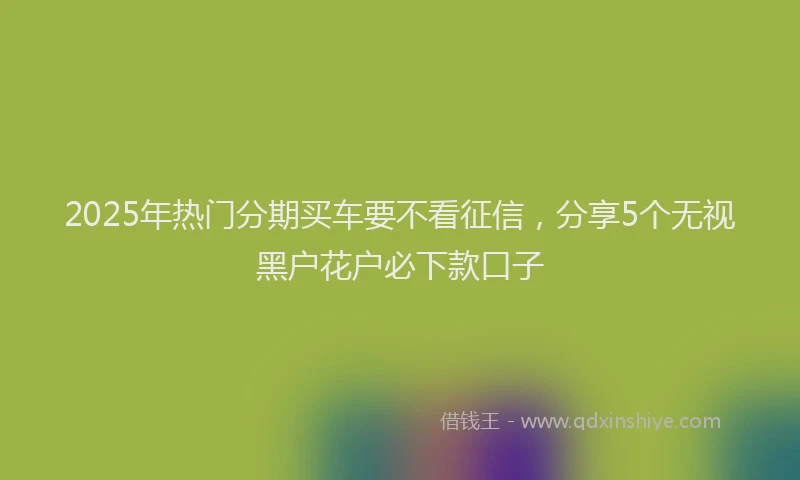 2025年热门分期买车要不看征信，分享5个无视黑户花户必下款口子
