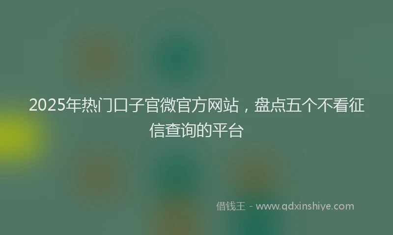 2025年热门口子官微官方网站，盘点五个不看征信查询的平台