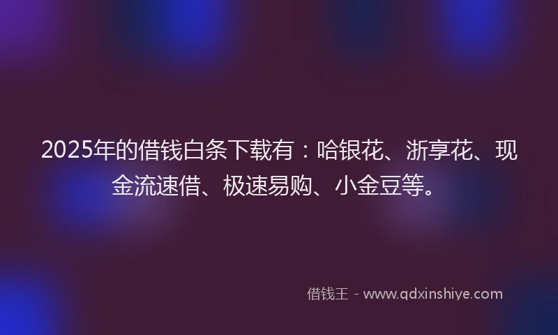 2025年的借钱白条下载有：哈银花、浙享花、现金流速借、极速易购、小金豆等。