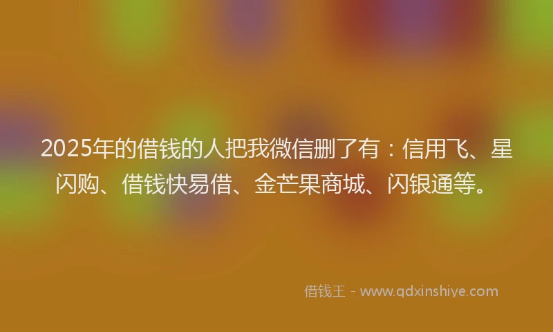 2025年的借钱的人把我微信删了有：信用飞、星闪购、借钱快易借、金芒果商城、闪银通等。
