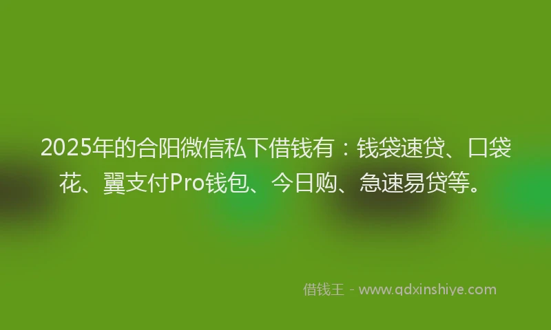 2025年的合阳微信私下借钱有：钱袋速贷、口袋花、翼支付Pro钱包、今日购、急速易贷等。