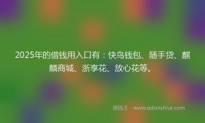 2025年的借钱用入口有：快鸟钱包、随手贷、麒麟商城、浙享花、放心花等。