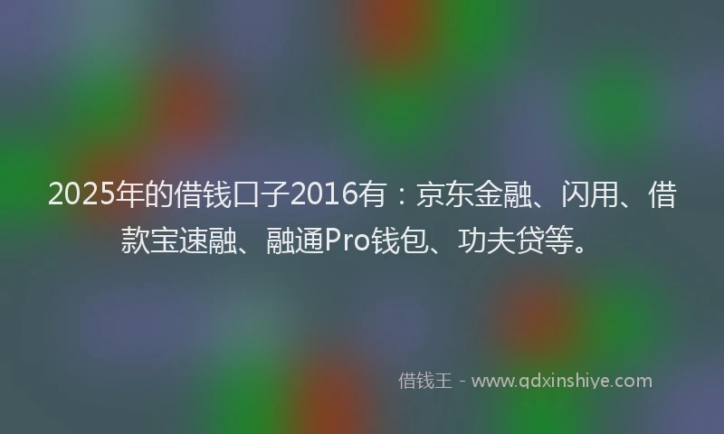 2025年的借钱口子2016有：京东金融、闪用、借款宝速融、融通Pro钱包、功夫贷等。