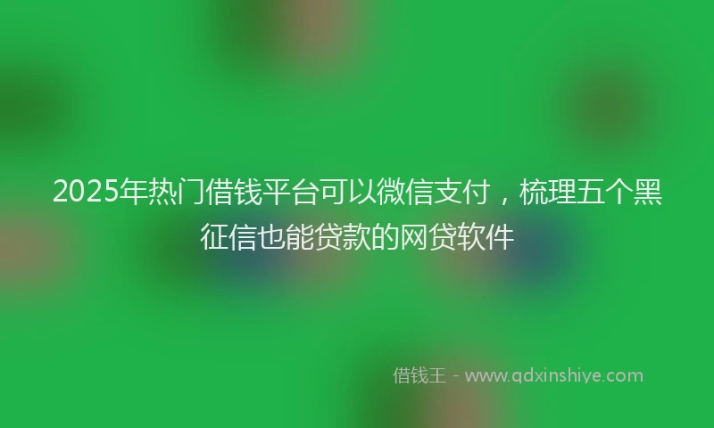 2025年热门借钱平台可以微信支付，梳理五个黑征信也能贷款的网贷软件