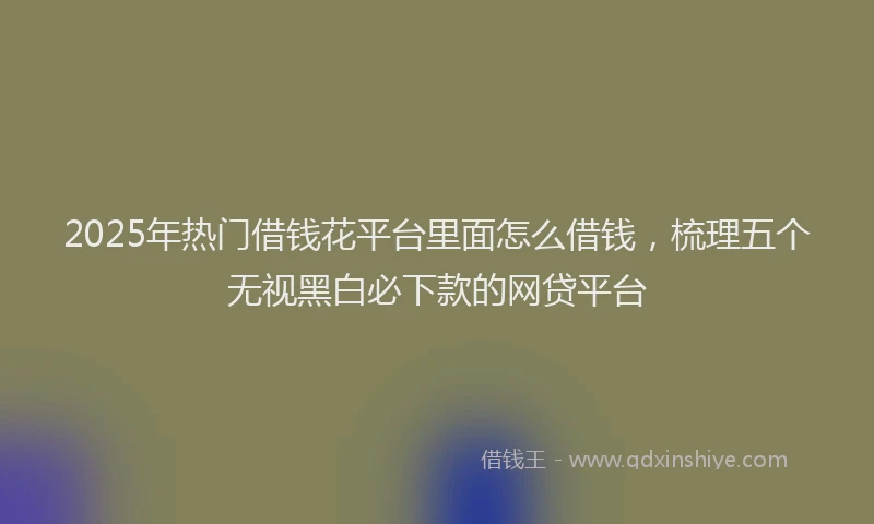 2025年热门借钱花平台里面怎么借钱，梳理五个无视黑白必下款的网贷平台