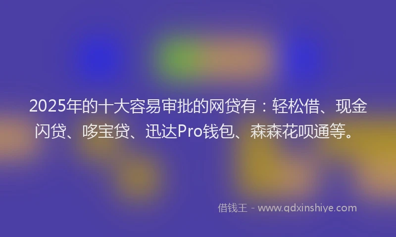 2025年的十大容易审批的网贷有：轻松借、现金闪贷、哆宝贷、迅达Pro钱包、森森花呗通等。