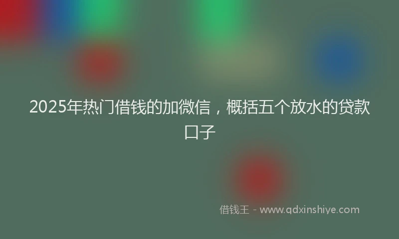 2025年热门借钱的加微信，概括五个放水的贷款口子