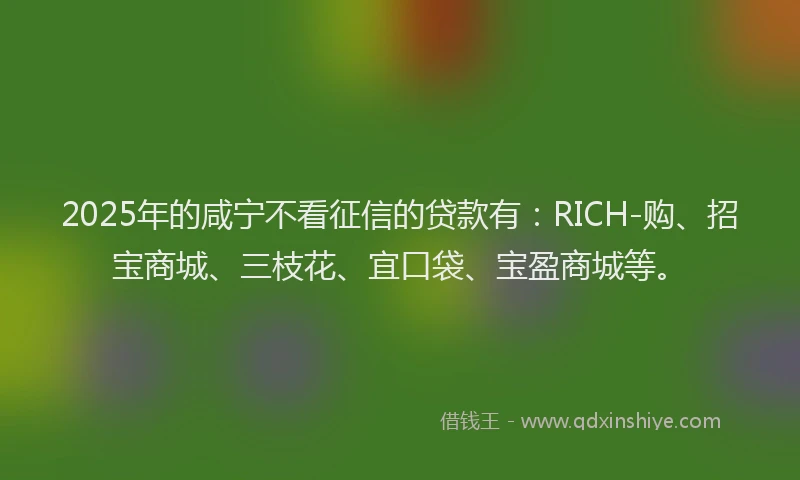 2025年的咸宁不看征信的贷款有：RICH-购、招宝商城、三枝花、宜口袋、宝盈商城等。