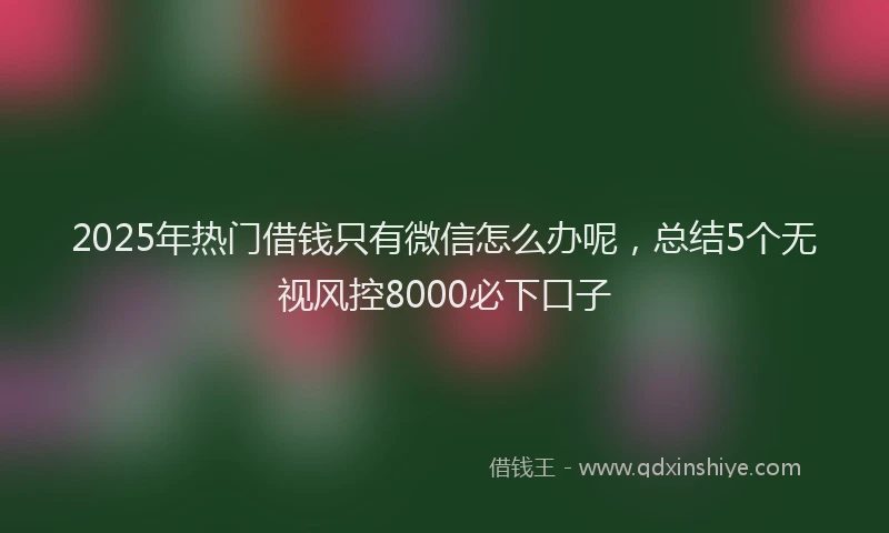 2025年热门借钱只有微信怎么办呢，总结5个无视风控8000必下口子