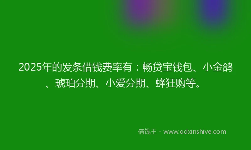 2025年的发条借钱费率有：畅贷宝钱包、小金鸽、琥珀分期、小爱分期、蜂狂购等。