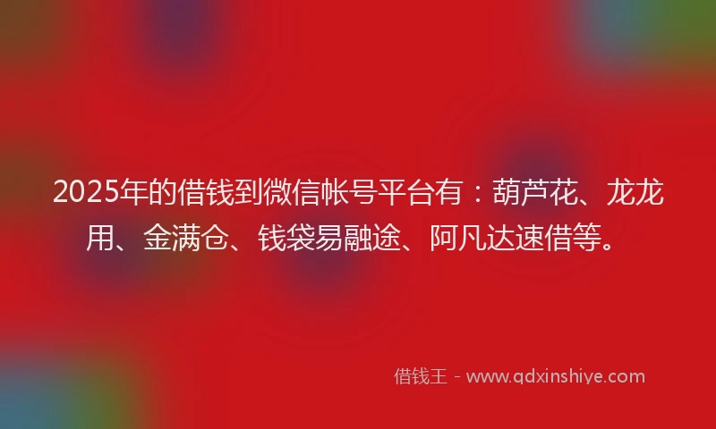 2025年的借钱到微信帐号平台有：葫芦花、龙龙用、金满仓、钱袋易融途、阿凡达速借等。