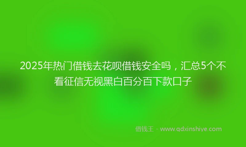 2025年热门借钱去花呗借钱安全吗，汇总5个不看征信无视黑白百分百下款口子