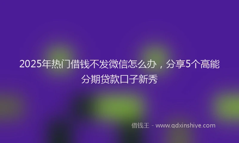 2025年热门借钱不发微信怎么办，分享5个高能分期贷款口子新秀
