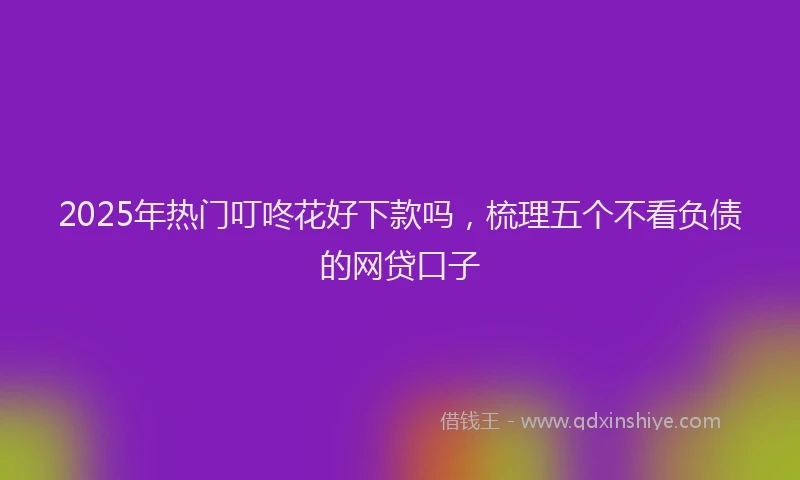 2025年热门叮咚花好下款吗，梳理五个不看负债的网贷口子