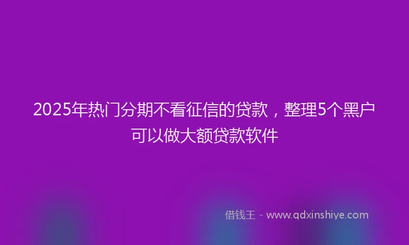 2025年热门分期不看征信的贷款，整理5个黑户可以做大额贷款软件