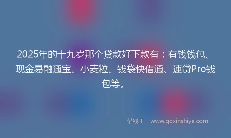 2025年的十九岁那个贷款好下款有：有钱钱包、现金易融通宝、小麦粒、钱袋快借通、速贷Pro钱包等。