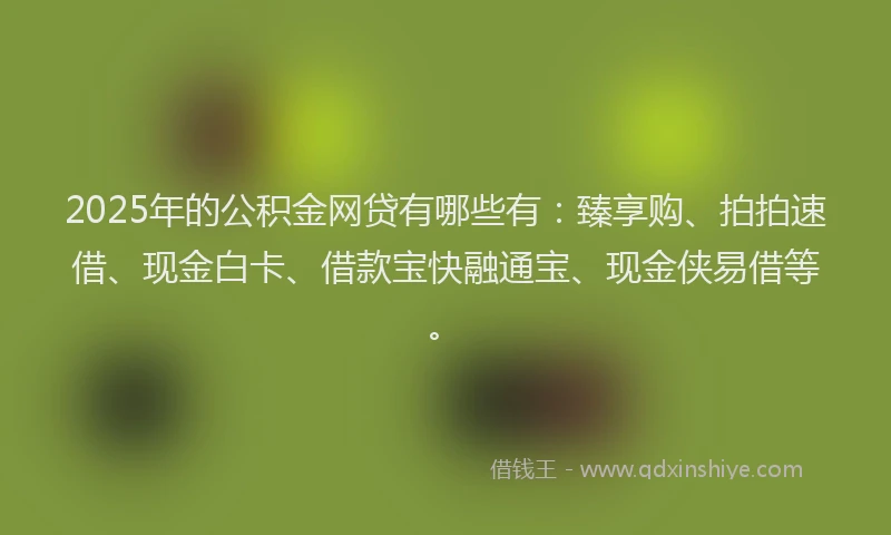 2025年的公积金网贷有哪些有：臻享购、拍拍速借、现金白卡、借款宝快融通宝、现金侠易借等。